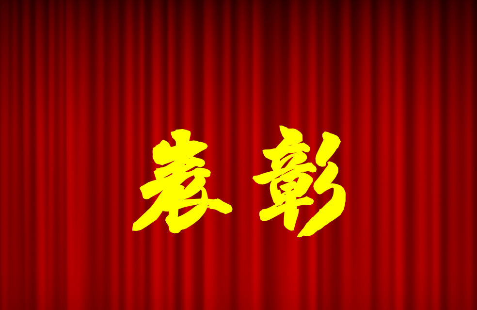 逐光前行、榮耀共鑒 | 公司2024年度表彰來啦！